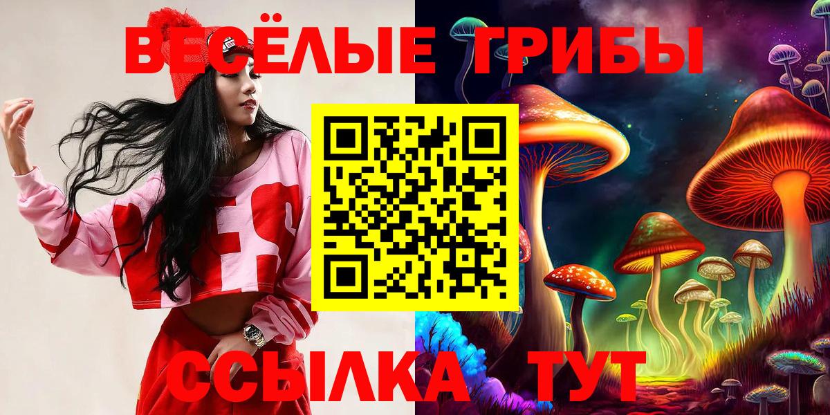 Выкса  Галлюциногенные грибы GOLDEN TEACHER  сколько стоит  Вход с VPN 