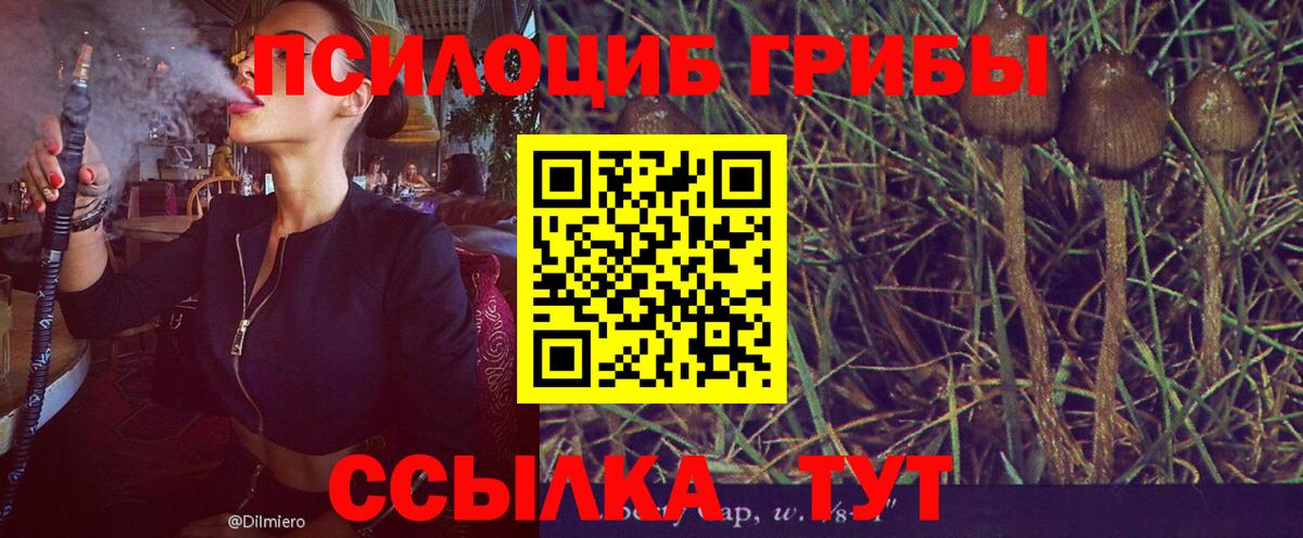 Галлюциногенные грибы мухоморы Выкса